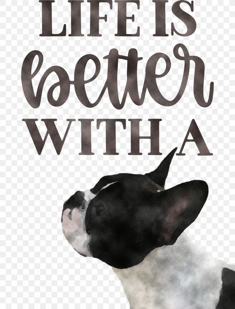 Life Better, PNG, 2275x2999px, Life, Better, Boston Terrier, Breed, Dog Download Free