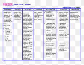 Nursing Interventions Classification Nursing Care Plan Pathophysiology ...