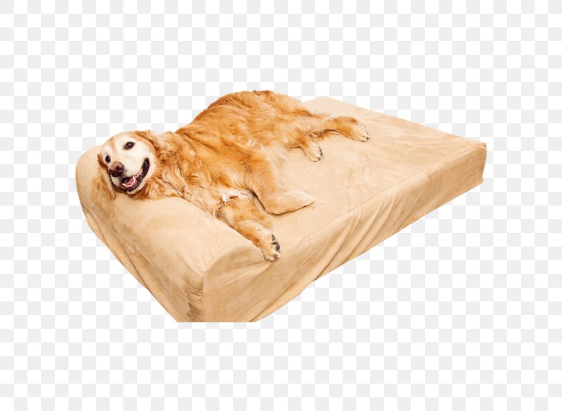 Sporting Group Dog Snout Pet Bed, PNG, 600x600px, Sporting Group, Amazoncom, Bed, Bed Sheet, Bed Sheets Download Free