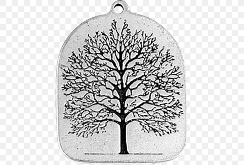 Tree Of Life Genealogy Genealogical DNA Test Human Y-chromosome DNA Haplogroup, PNG, 555x555px, Tree Of Life, Black And White, Branch, Celtic Sacred Trees, Dna Download Free