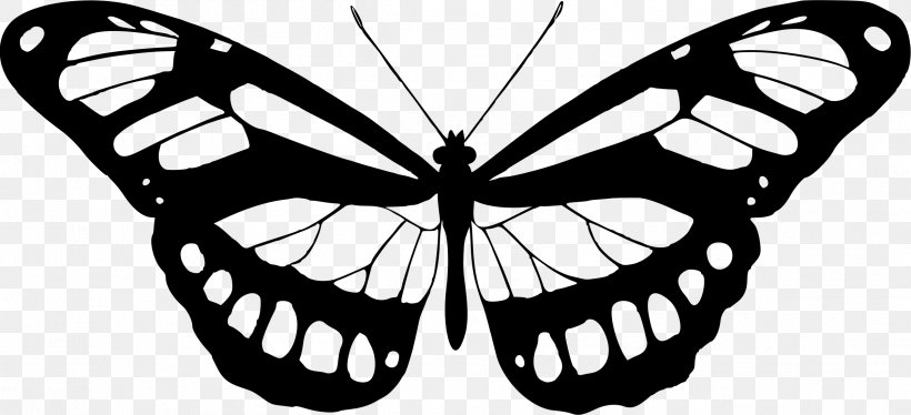 Ulysses Butterfly Insect Clip Art, PNG, 2399x1097px, Butterfly, Arthropod, Black And White, Brush Footed Butterfly, Butterflies And Moths Download Free