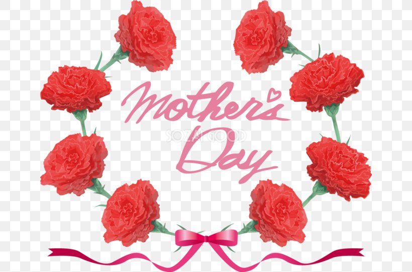 Carnation Mother's Day, PNG, 660x541px, Carnation, Artificial Flower, Cut Flowers, Floral Design, Floristry Download Free