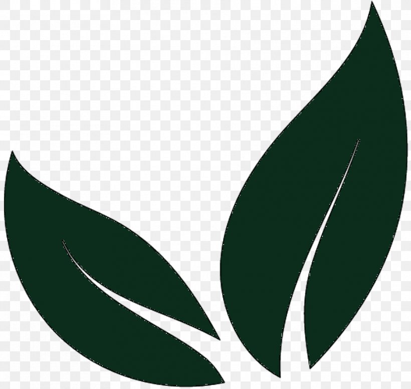 Clip Art Leaf Logo Product Design Line, PNG, 936x885px, Leaf, Botany, Green, Logo, Plant Download Free