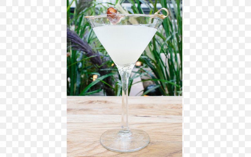 Cocktail Garnish Martini Gin Vodka, PNG, 1600x1000px, Cocktail, Alcoholic Drink, Bitters, Champagne Glass, Champagne Stemware Download Free