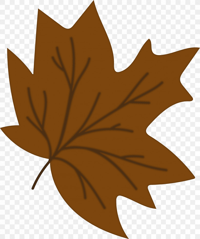Maple Leaf, PNG, 2509x3000px, Leaf, Biology, Flower, Maple, Maple Leaf Download Free