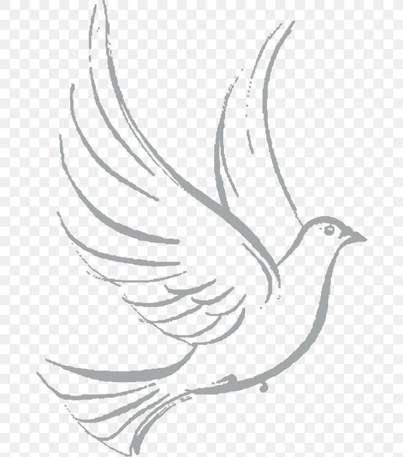 Columbidae Drawing Doves As Symbols Sketch, PNG, 674x929px, Columbidae, Art, Artwork, Beak, Bird Download Free