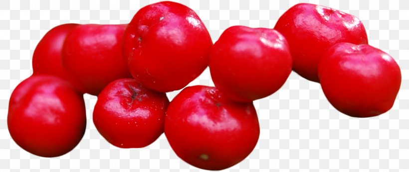 Cranberry, PNG, 1320x557px, Cranberry, Acerola, Acerola Family, Berry, Cherry Download Free