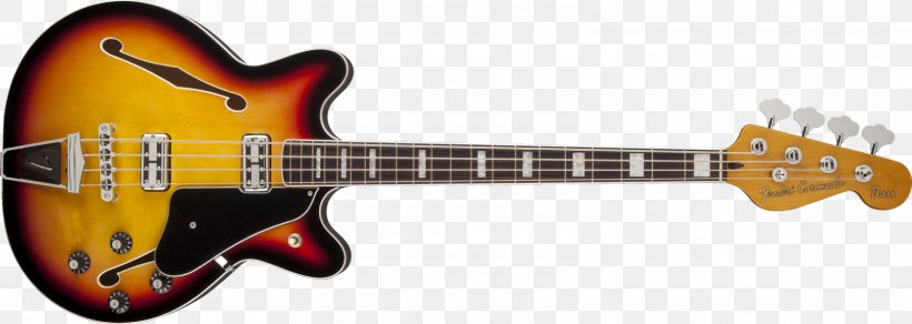 Fender Coronado Fender Starcaster Fender Precision Bass Bass Guitar, PNG, 1600x571px, Watercolor, Cartoon, Flower, Frame, Heart Download Free