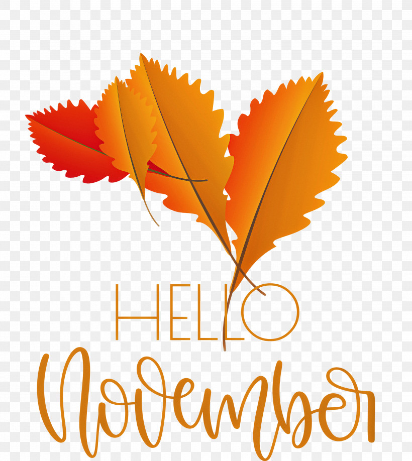 Hello November November, PNG, 2678x3000px, Hello November, Apollos Products, Cat Wall Decal, Decal, Floor Download Free