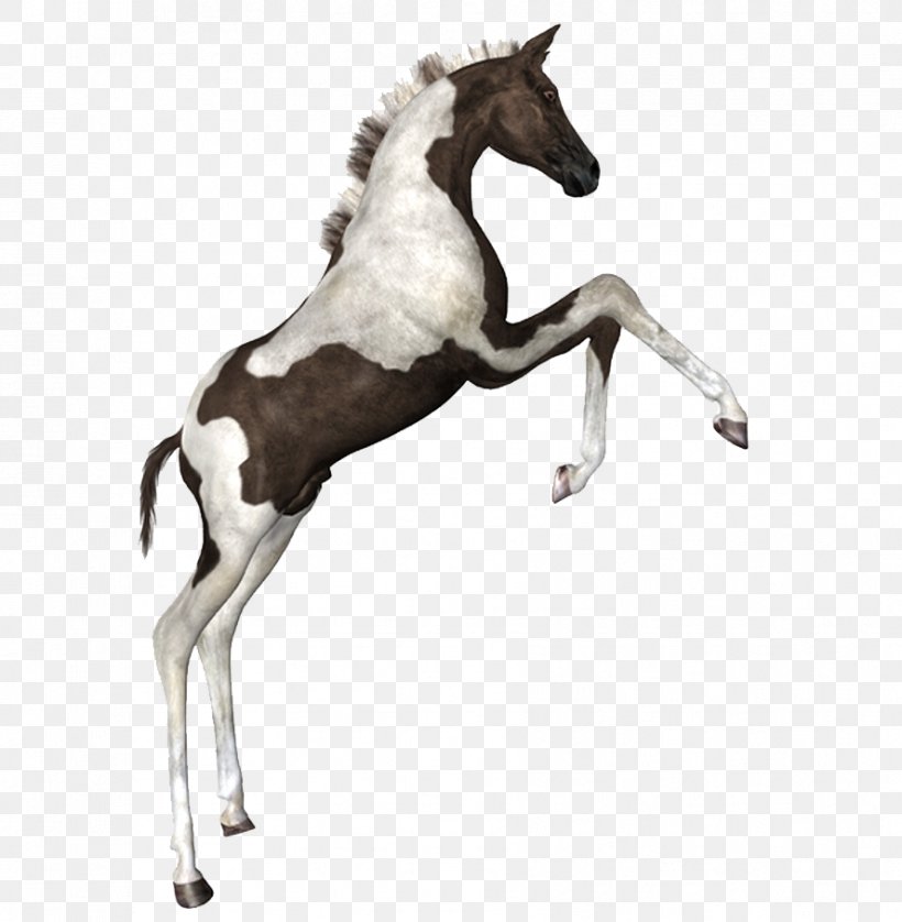 Horse Drawing, PNG, 888x908px, Horse, Animal Figure, Art, Bit, Brush Download Free