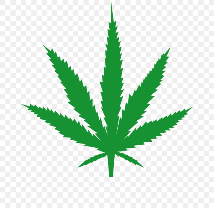 Medical Cannabis Leaf 420 Day, PNG, 800x800px, 420 Day, Cannabis, Cannabis Sativa, Grass, Hemp Download Free