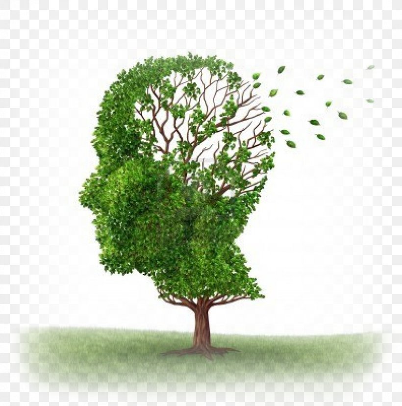 Short-term Memory Amnesia Alzheimer's Disease Long-term Memory, PNG, 1188x1200px, Shortterm Memory, Alois Alzheimer, Amnesia, Amyloid Beta, Branch Download Free