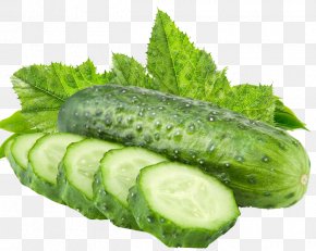 Cucumber Pattern - Cucumber Vegetable Muskmelon Fruit PNG