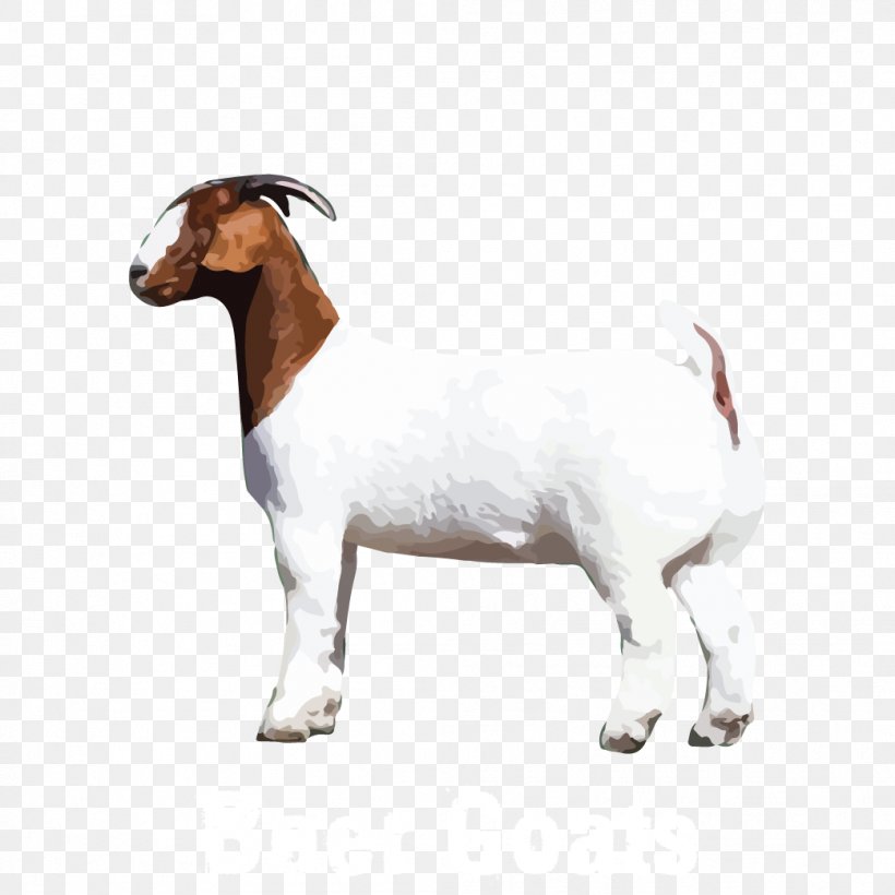 Goat Cattle Animal Snout, PNG, 1042x1042px, Goat, Animal, Animal Figure, Cattle, Cattle Like Mammal Download Free