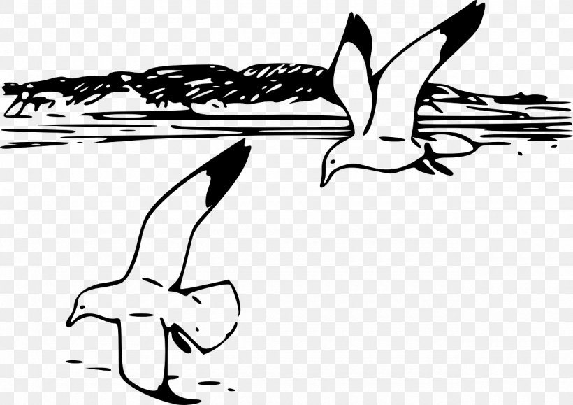 Gulls Bird Beach Coast Clip Art, PNG, 1280x904px, Gulls, Area, Arm, Art, Artwork Download Free