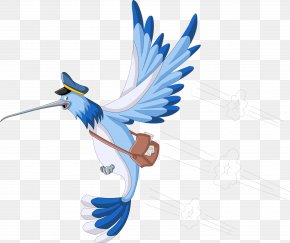 Hummingbird - Hummingbird Drawing Photography PNG