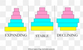 Story Structure Pyramid - Population Pyramid DNA Histone Biology PNG