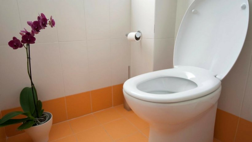 Toilet & Bidet Seats Bathroom Toto Ltd., PNG, 1280x720px, Toilet, Bathroom, Bidet, Bowl, Ceramic Download Free