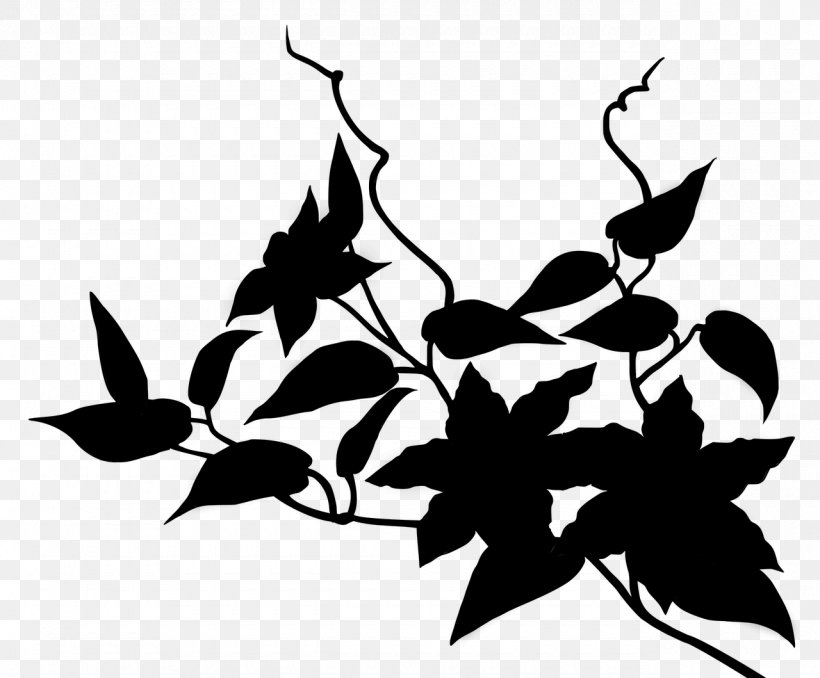 Black & White, PNG, 1280x1059px, Black White M, Blackandwhite, Botany, Branch, Flower Download Free