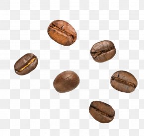 Coffee Beans - Cocoa Bean Coffee Bean Nut Theobroma Cacao PNG