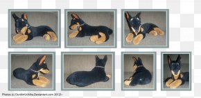 Doberman - Dog Breed Puppy Pet Canidae PNG