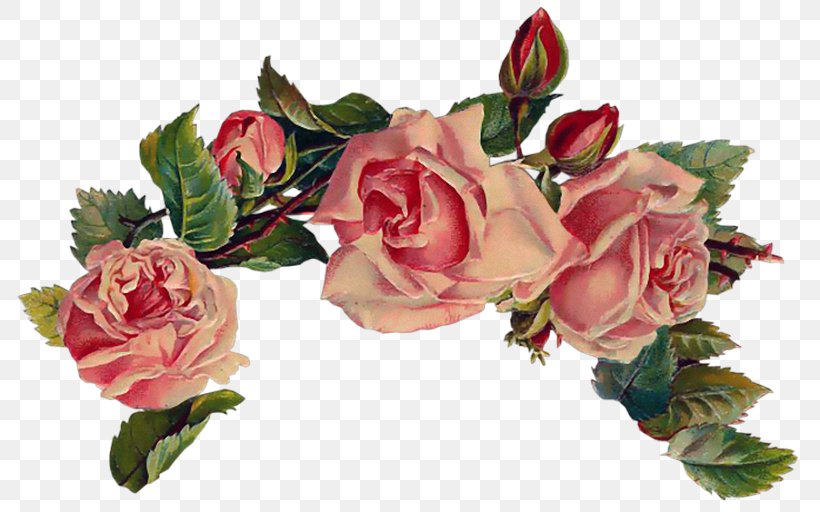 Vintage Roses: Beautiful Varieties For Home And Garden Pink Clip Art, PNG, 800x512px, Rose, Art, Artificial Flower, Cut Flowers, Decoupage Download Free