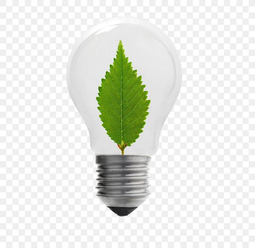 Incandescent Light Bulb Energy Conservation, PNG, 524x800px, Light, Daylighting, Electric Light, Energiequelle, Energy Download Free