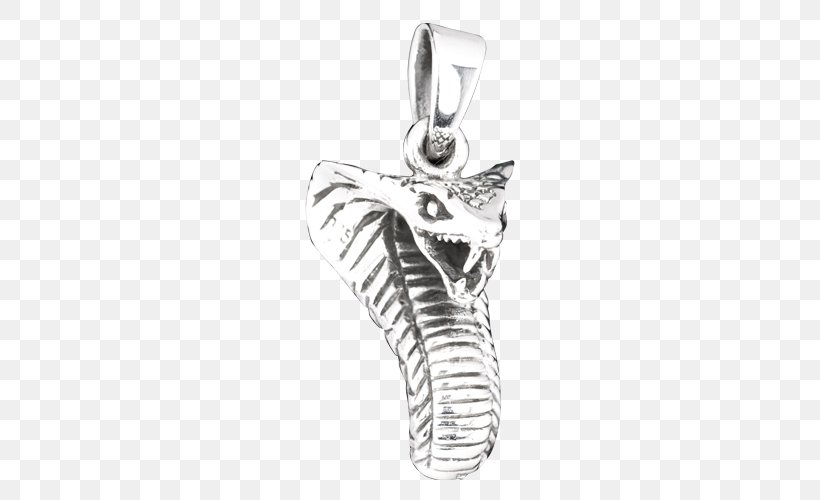 Locket Silver Body Jewellery White, PNG, 500x500px, Locket, Black And White, Body Jewellery, Body Jewelry, Fashion Accessory Download Free