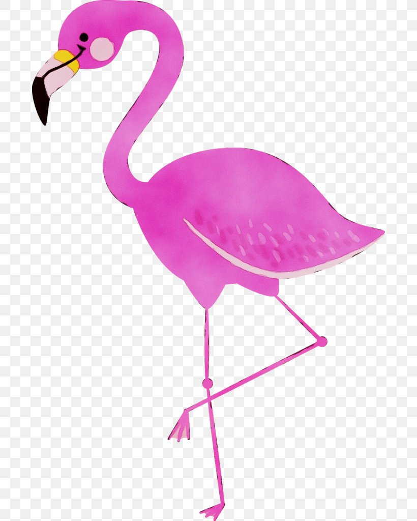 Phoenicopterus Bird Drawing Clip Art, PNG, 694x1024px, Phoenicopterus, Art, Beak, Bird, Drawing Download Free