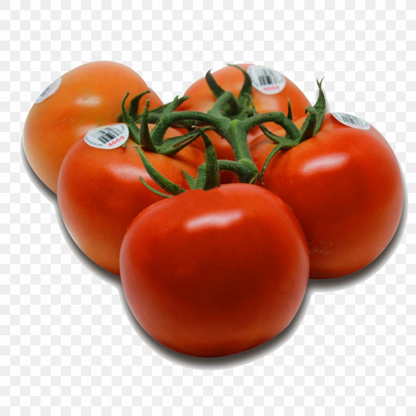 Plum Tomato Bush Tomato Vegetarian Cuisine Food, PNG, 3553x3552px, Plum Tomato, Bush Tomato, Diet, Diet Food, Food Download Free