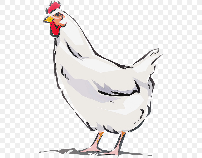 Bird Chicken Rooster Beak Cartoon, PNG, 508x640px, Bird, Animal Figure, Beak, Cartoon, Chicken Download Free