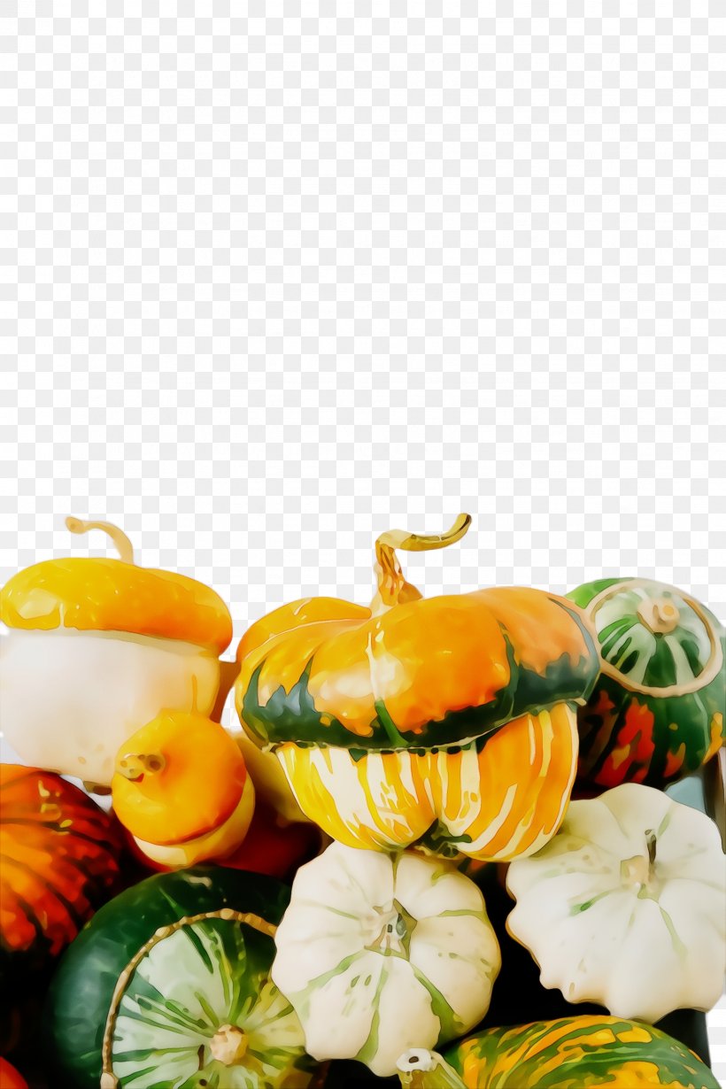 Pumpkin, PNG, 1632x2448px, Watercolor, Cucurbita, Food, Fruit, Gourd Download Free