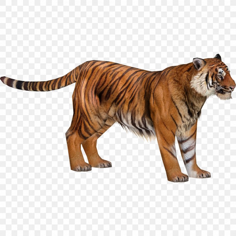 Zoo Tycoon 2 South China Tiger Siberian Tiger Malayan Tiger Sumatran Tiger, PNG, 1058x1058px, Zoo Tycoon 2, Animal, Animal Figure, Bengal Tiger, Big Cats Download Free