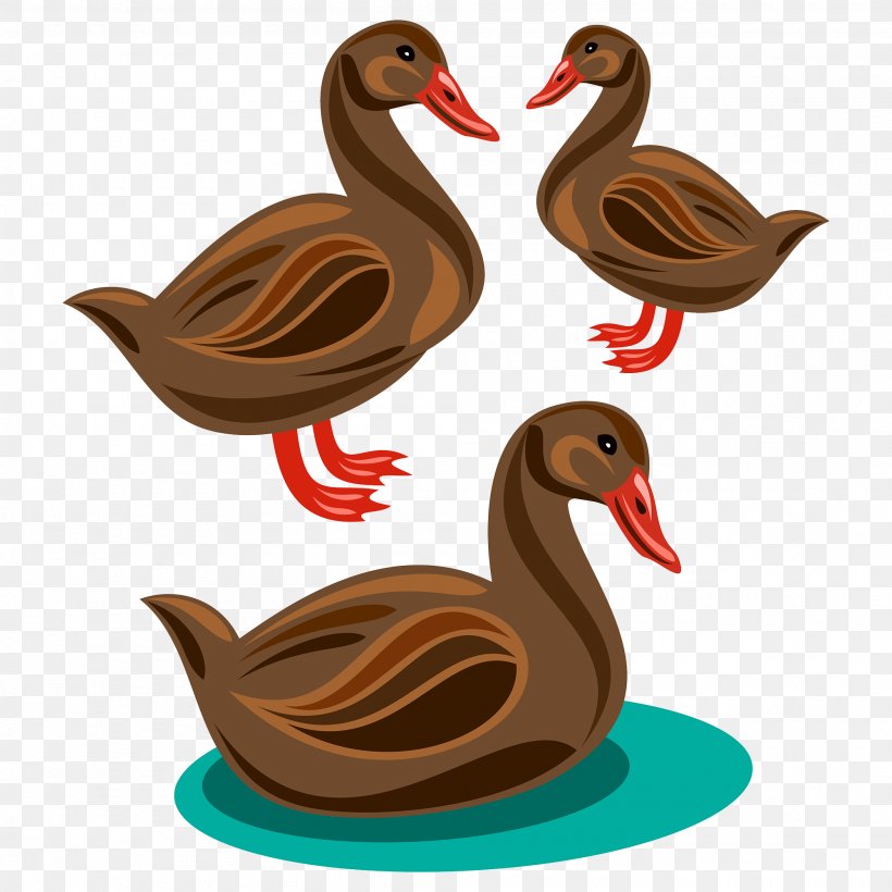 Cartoon Illustration, PNG, 2000x2001px, Cartoon, Beak, Bird, Duck, Ducks Geese And Swans Download Free