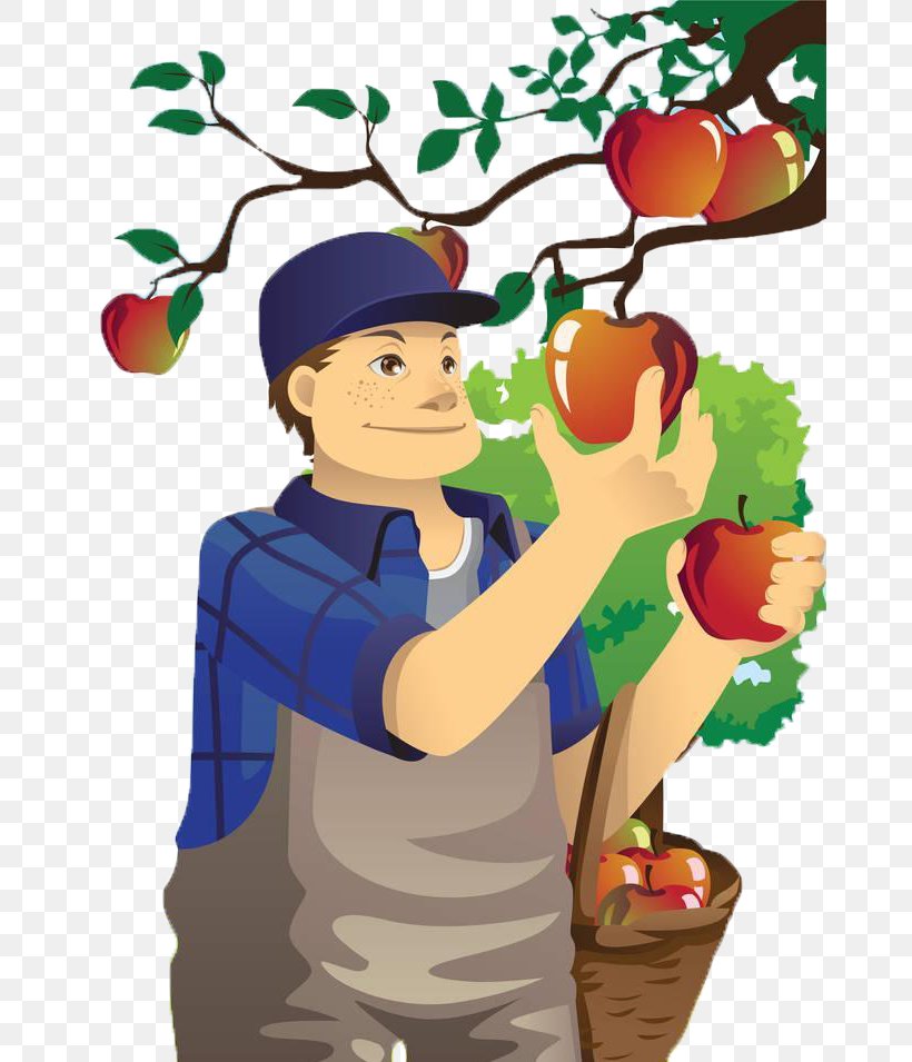 Fruit Picking Orchard Apple Farmer Clip Art, PNG, 666x955px, Fruit Picking, Agriculture, Apple, Art, Boy Download Free