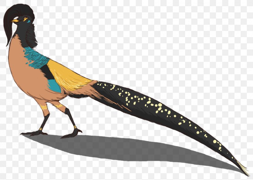 Pavo Beak Bird Galliformes Feather, PNG, 851x605px, Watercolor, Cartoon, Flower, Frame, Heart Download Free