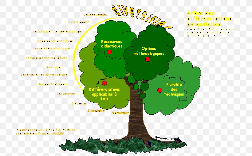 Tree Pedagogy Education Teacher Homework, PNG, 746x509px, Tree, Area, Berufsausbildung, Competence, Diagram Download Free