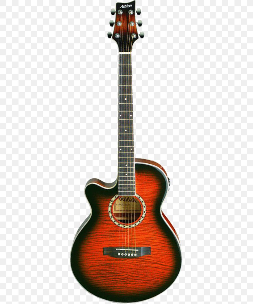 Acoustic Guitar Acoustic-electric Guitar Tiple Cavaquinho, PNG, 367x988px, Acoustic Guitar, Acoustic Electric Guitar, Acoustic Music, Acousticelectric Guitar, Acoustics Download Free