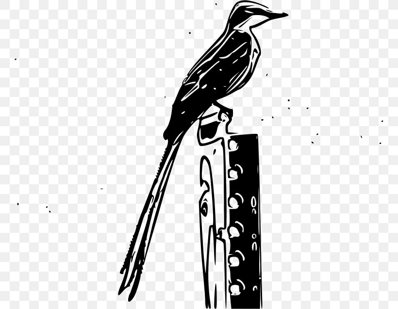 Bird Passerine Vertebrate Scissor-tailed Flycatcher, PNG, 760x637px, Bird, Animal, Art, Beak, Black And White Download Free