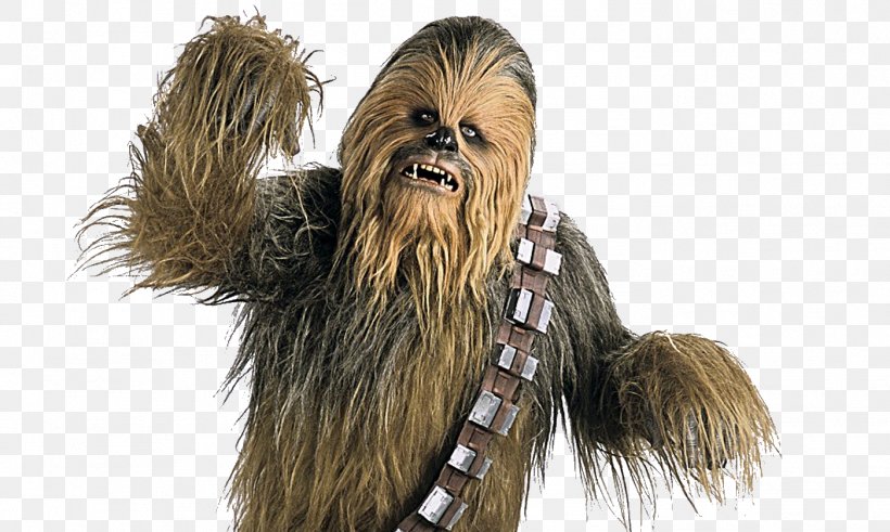 Chewbacca Star Wars Day Wookiee Luke Skywalker, PNG, 1399x839px, Chewbacca, Dog Breed, Fur, Long Hair, Luke Skywalker Download Free