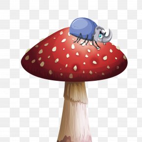 Vector Poisonous Mushrooms - Mushroom Euclidean Vector Computer File PNG