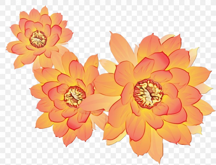 Pink Flowers Background, PNG, 1280x977px, Orange, Animation, Artificial Flower, Color, Cut Flowers Download Free