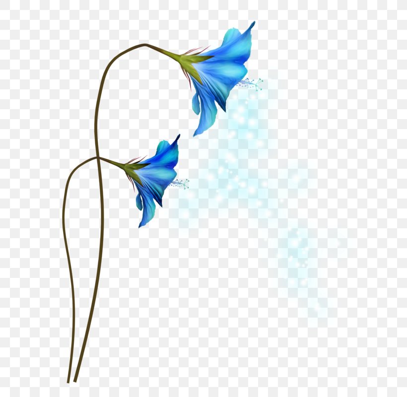 Clip Art Flower Desktop Wallpaper Petal, PNG, 699x800px, Flower, Chart, Cut Flowers, Flora, Flowering Plant Download Free