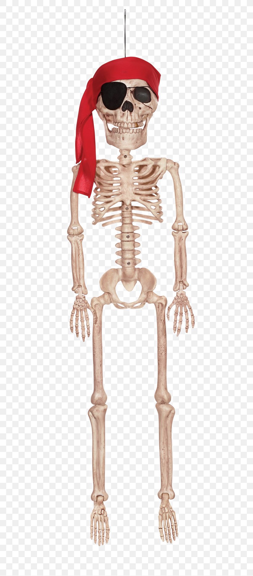 Crazy Bonez Pirate Skeleton Jr Shoulder, PNG, 650x1861px, Shoulder, Bone, Costume Design, Joint, Muscle Download Free