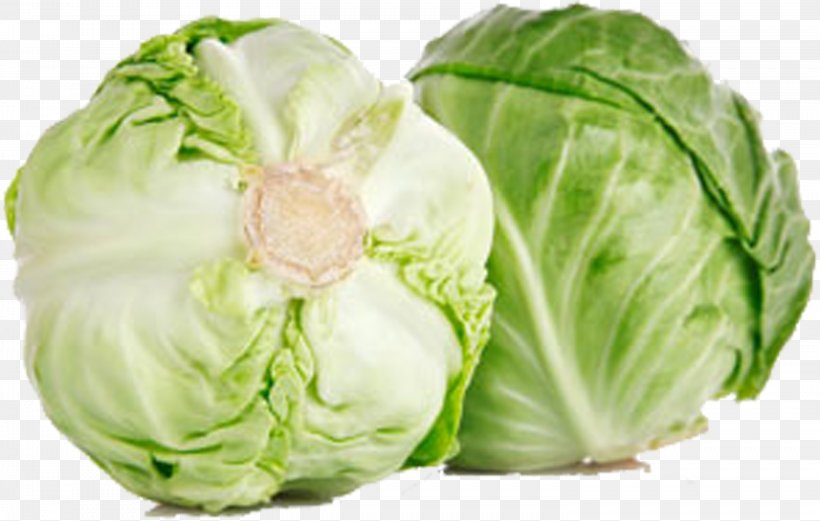 Kale Vegetable Eating Food Cabbage, PNG, 2952x1879px, Cabbage, Broccoli, Brussels Sprout, Cabbage Roll, Carbohydrate Download Free