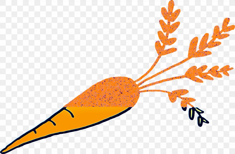 Leaf Drawing, PNG, 2240x1476px, Carrot, Drawing, Food, Greens, Leaf Download Free