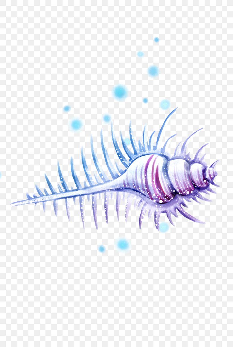 Cartoon Graphic Design, PNG, 2050x3050px, Cartoon, Blue, Close Up, Conch, Designer Download Free