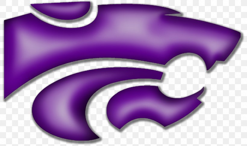 Clovis High School Freshman Academy Wildcat National Secondary School, PNG, 900x534px, Clovis High School, Arizona Wildcats, Arizona Wildcats Football, Clovis, Clovis Municipal School District Download Free