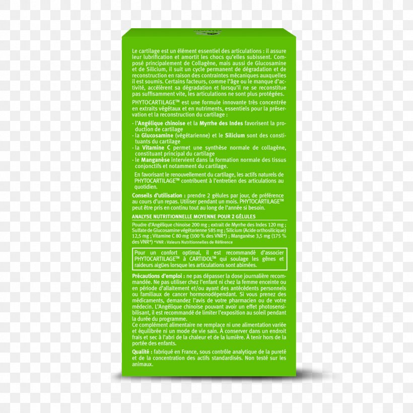 Green Font, PNG, 1024x1024px, Green, Grass, Text Download Free