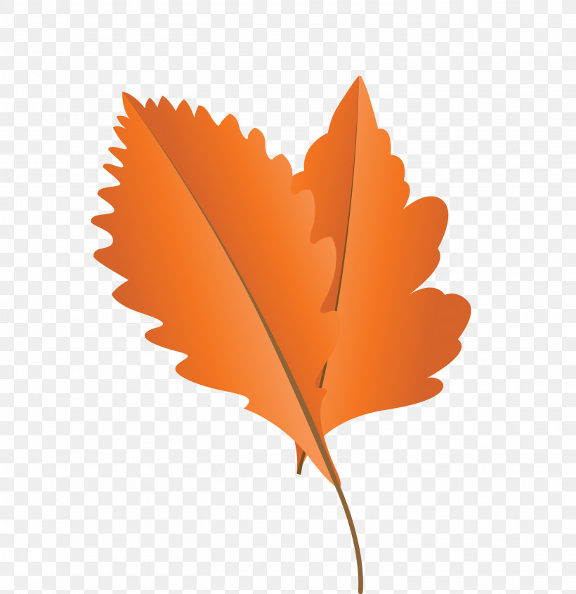 Maple Leaf, PNG, 2905x3000px, Autumn Leaf, Biology, Cartoon Leaf, Fall Leaf, Leaf Download Free